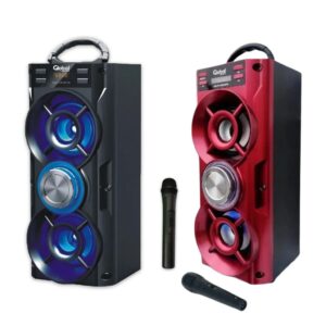 Parlante Karaoke SBL10 Bluetooth Con Micrófono Y Luces