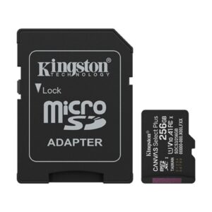 Memoria Kingston 256GB CLASE 10