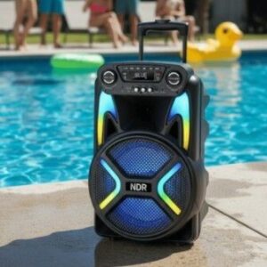 Parlante 12'' Buetooth con Microfono, Control y Manija para Traslado NDR-122
